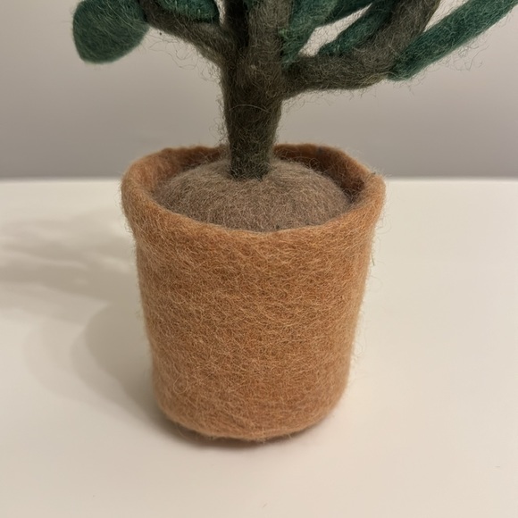 West elm felt succulent - Picture 3 of 5